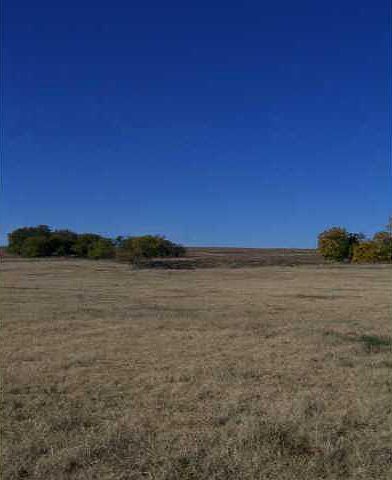 1st image of 28 County Street 2900 Tract Lot 6