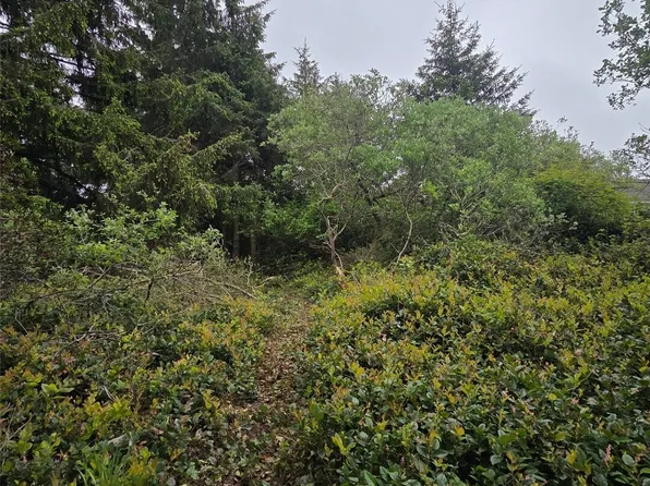 624 Wolf Ct SE, Ocean Shores, WA 98569