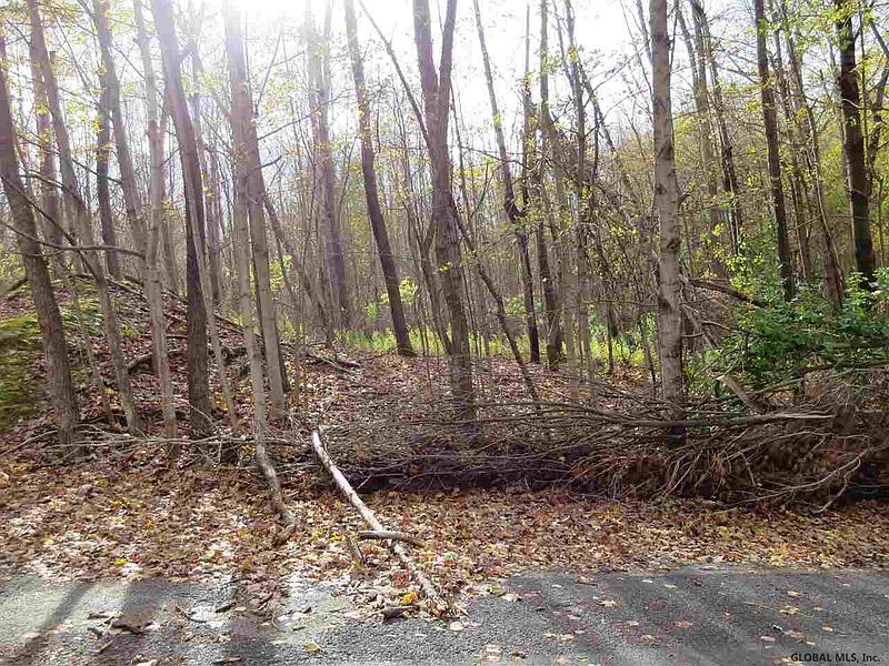 3rd image of 0 WEBSTER Avenue