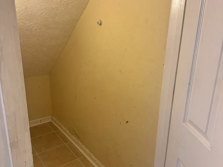 910 Weeping Willow Dr #5 — Photo 7