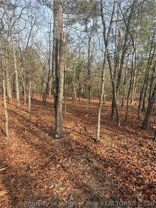 0 Gulley Branch Rd, Raeford, NC, 28376