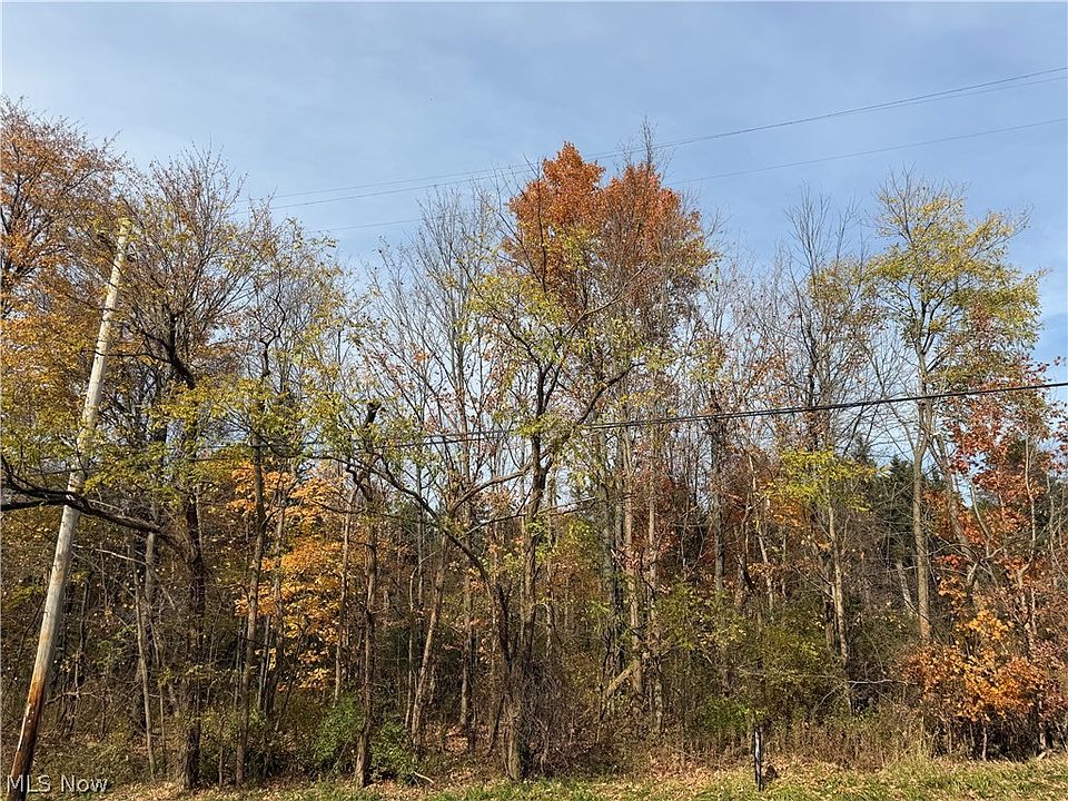 2nd image of Butternut Rd