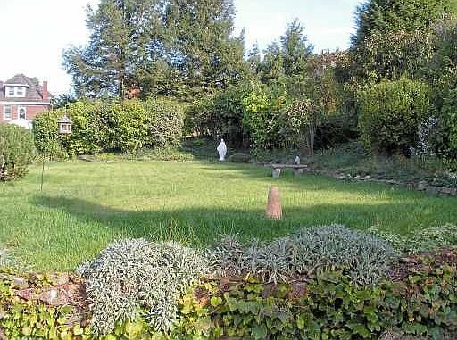 Rear Yard