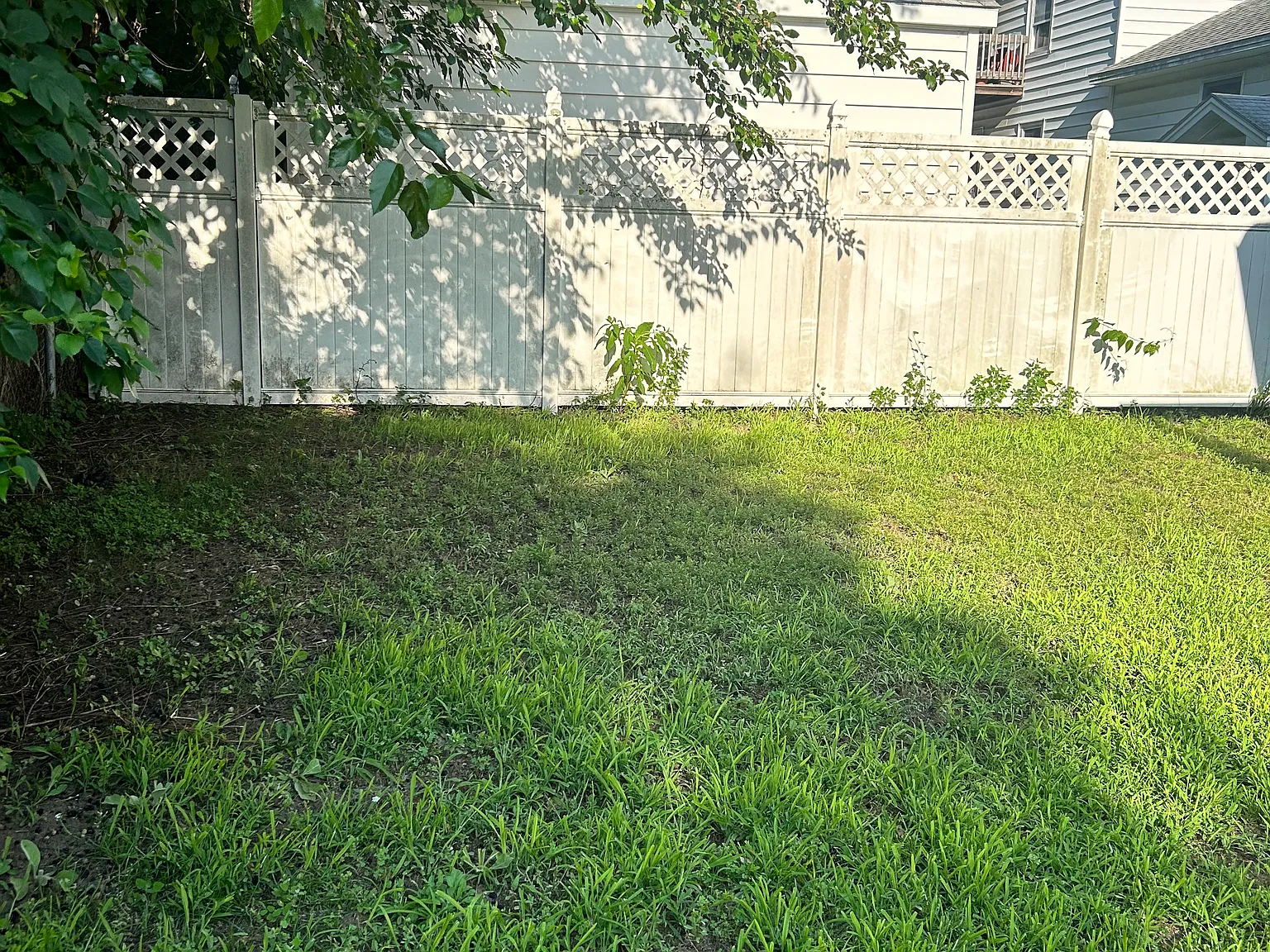 3 bed, 1500 sqft, $3,000 — Photo 3