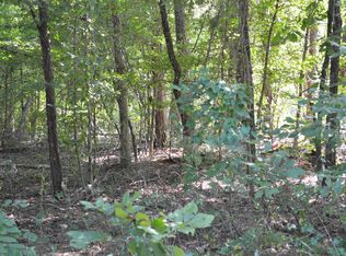 41 W Villena Dr, Hot Springs Village, AR 71909