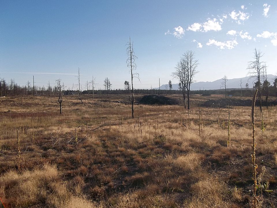 2nd image of 8020 Forest Heights Cir