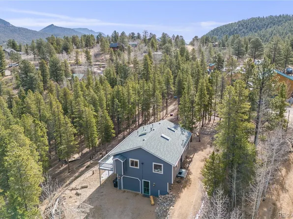 691 Gold Flake Terrace, Bailey, CO 80421