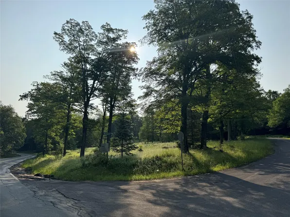 7 Woodard Road, Parksville, NY 12768