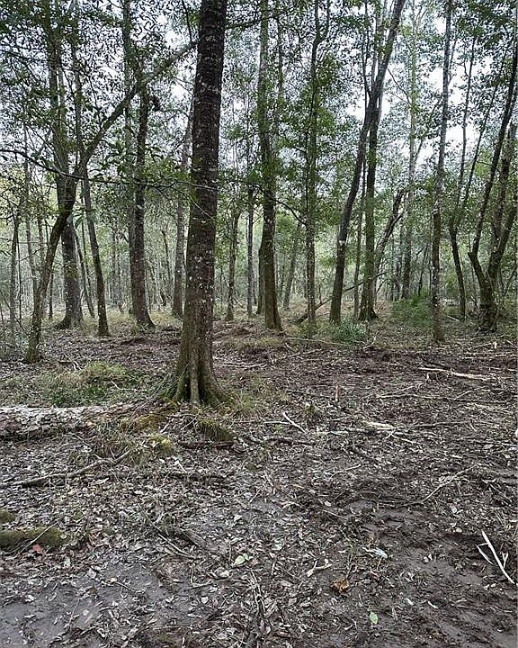 1st image of W Dutch Rd