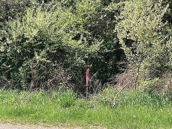 Left property marker