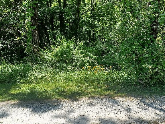 5th image of 0 Hideaway Lane Lots 11 #16-2.39