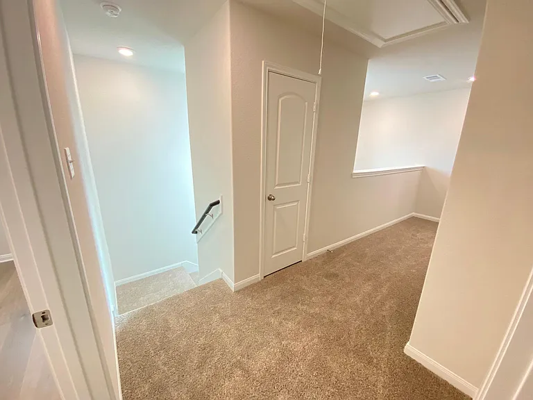6409 Texas Bluebell Dr — Photo 31