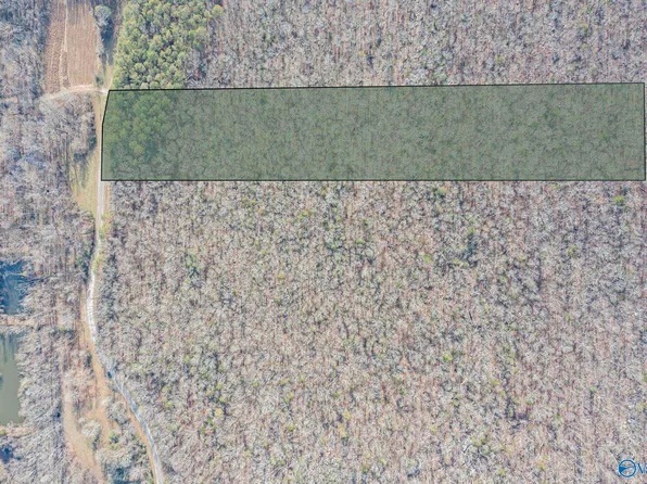 TRACT 18 Rock Spring Rd, Owens Cross Roads, AL 35763
