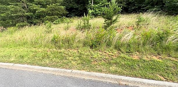 1st image of 64 Sierra Ln Lot 64