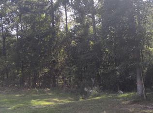 19976 Lowe, New Caney, TX 77357