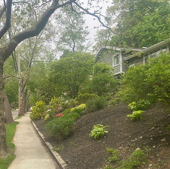109 Wallis Rd — Photo 1