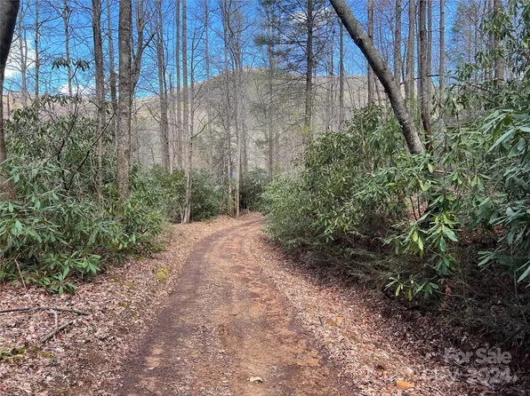 0 Audia Way Dr, Zirconia, NC 28790