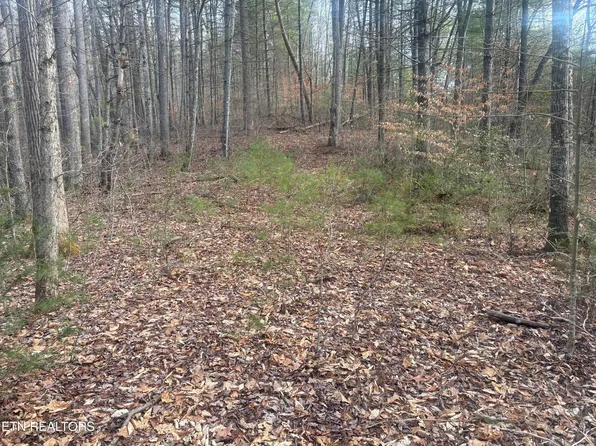 Sugar Maple Way, Del Rio, TN 37727