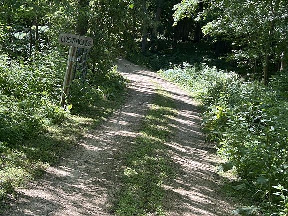 3rd image of S656 Redemption LANE