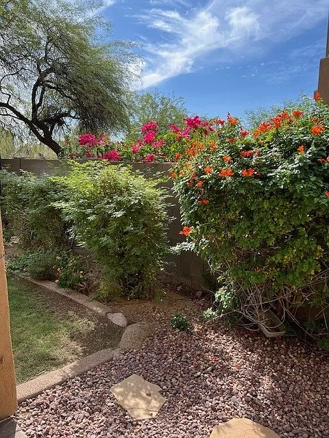 E Star Of The Desert Dr, Scottsdale — Photo 4