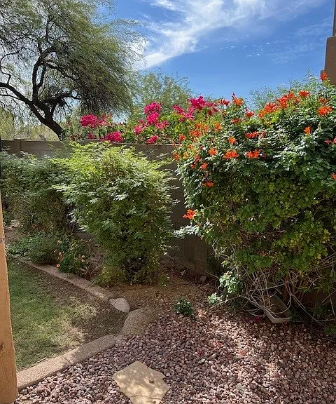 E Star Of The Desert Dr — Photo 6