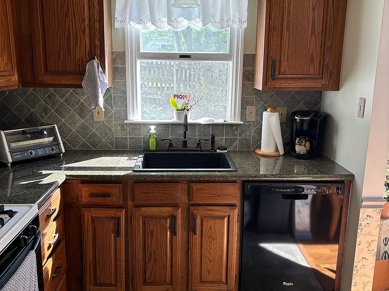 Kitchen dishwasher