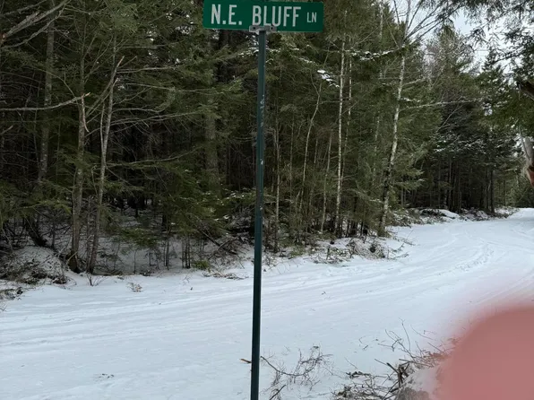 Map9Lot45 NE NE Bluff Lane, Beddington, ME 04622