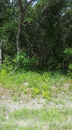 1st image of 579 NE 630th St