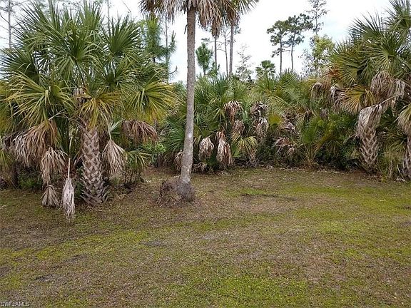 Back Yard.