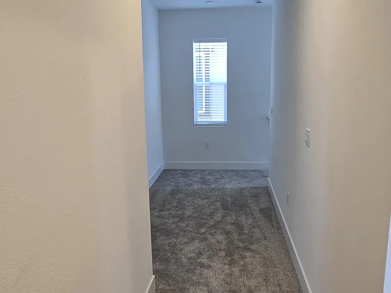 3217 Shrute Dr — Photo 10