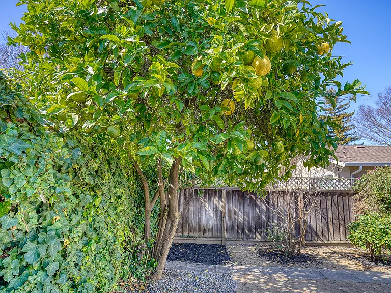 3364 Merrimac Dr — Photo 31