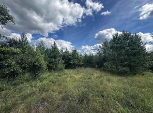 40 AC Buttercup Ave E Acres, Arkdale, WI 54613
