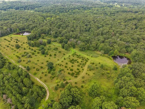 1825 NE 251st Rd, Osceola, MO 64776