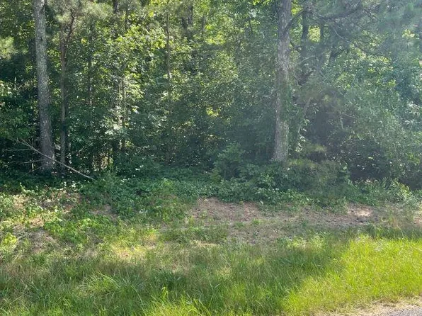 0 Dana Rd #19, Oneonta, AL 35121