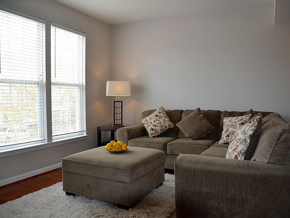 Light filled living room
