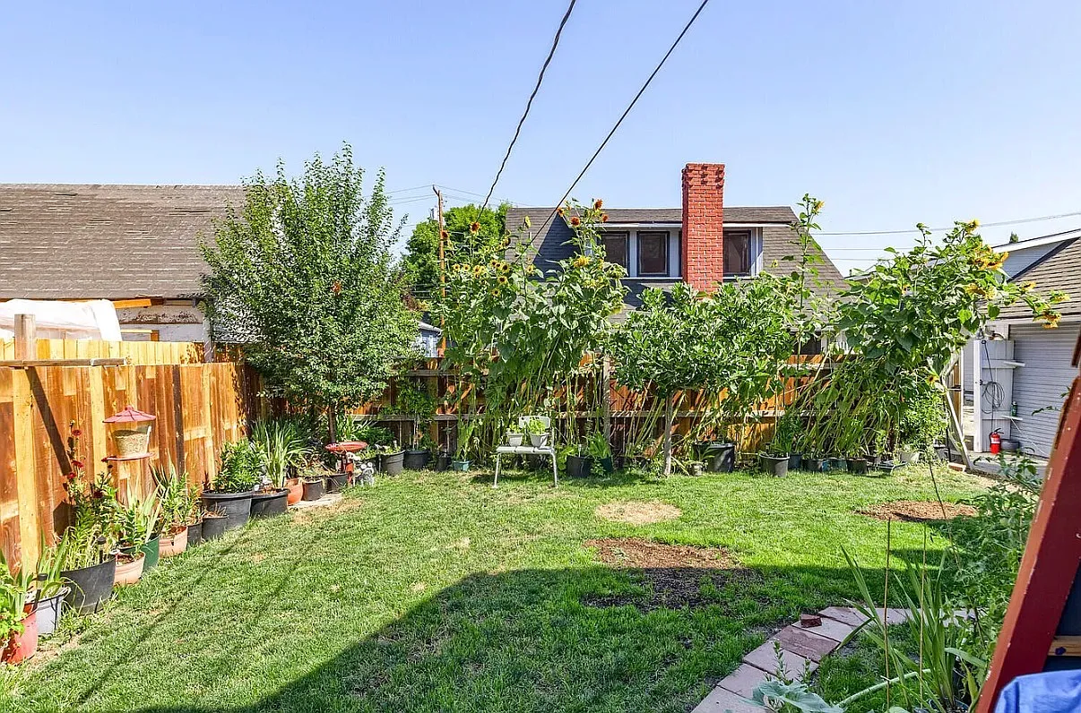 1 bed, $1,300 — Photo 1