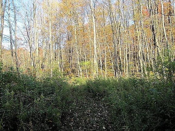 3rd image of Balf Rd