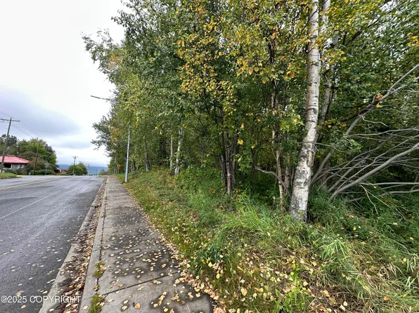 C021 S Valley Way, Palmer, AK 99645