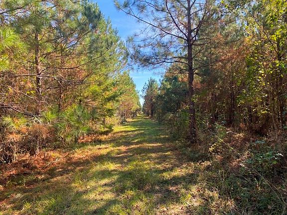 5th image of Oak Bottom Trl