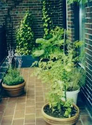 Sold by Corcoran | media 9