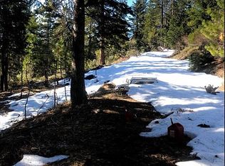 Long Point Trl #92, Alleghany, CA 95910