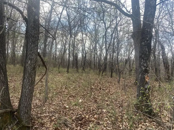 S 516th Rd, Afton, OK 74331