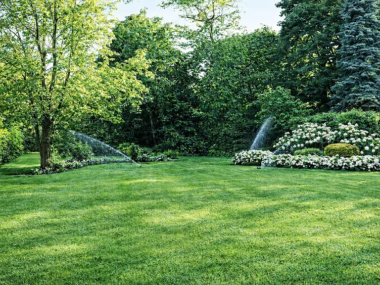 Large back yard