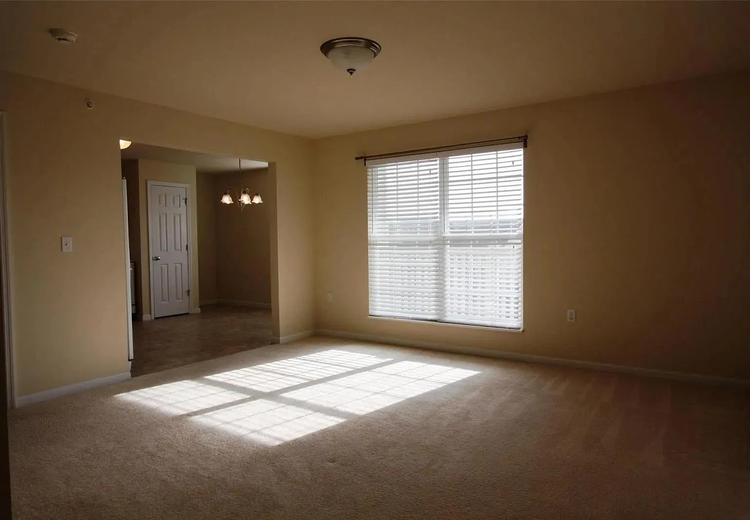 1922 Piedmont Cir — Photo 2
