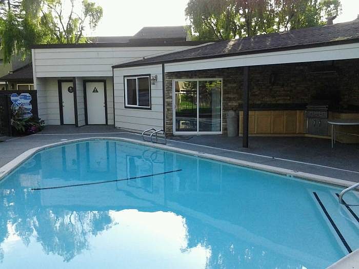 Pool and Barbecue Area