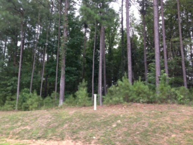 2nd image of 0 Pavilion Lake Dr