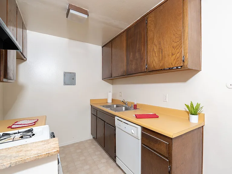 1007Lomi — Photo 16