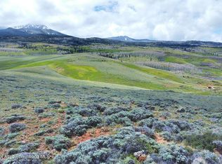 993 Eagle Loop LOT 774N, Craig, CO 81625