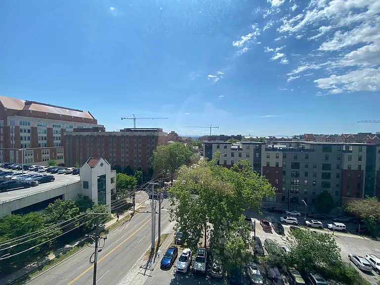 1700 W Clinch Ave #503 — Photo 11