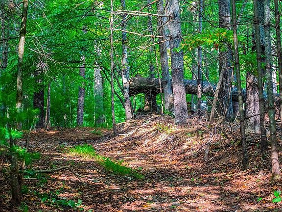 3rd image of LOT 9 Deer Haven Dr